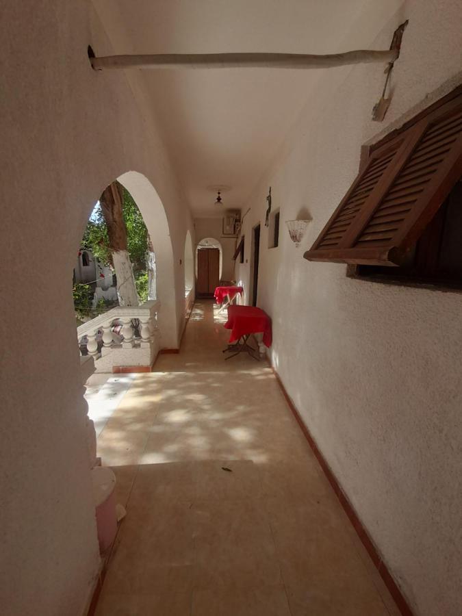 Fighting Kangaroo Camp Hotel Dahab Exterior photo