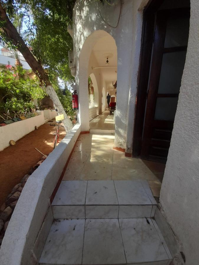 Fighting Kangaroo Camp Hotel Dahab Exterior photo