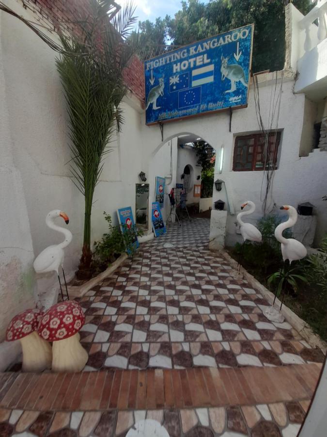 Fighting Kangaroo Camp Hotel Dahab Exterior photo